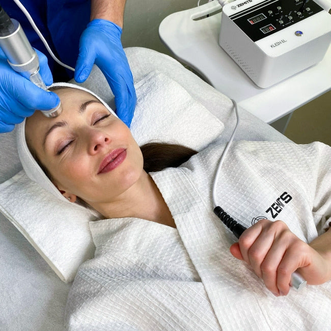 Zemits Klein EL Sistem Elektroporasi