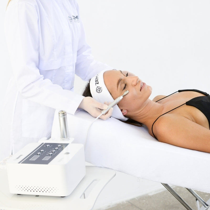 Zemits Klein EL Sistem Elektroporasi